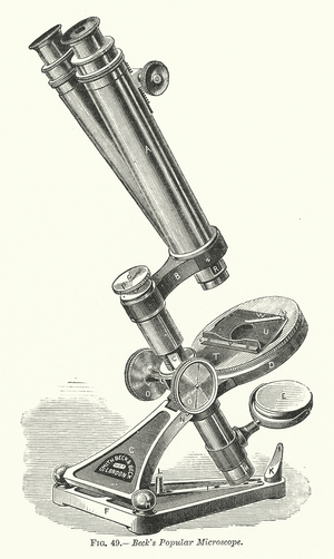 Beck's Popular Microscope (engraving)