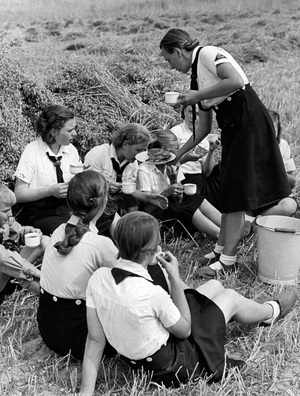Landdienst youth during grain harvest, 1939 (b/w photo)