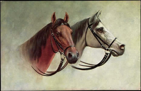 Horse, black and white horse with harness, mold