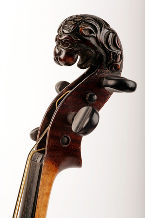 Violin scroll  -