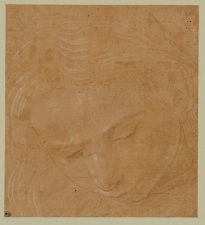 Portrait of a young man, looking down …