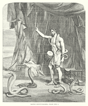 Eastern Serpent-Charmer, Psalm LVIII, 5 (engraving)