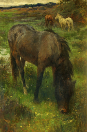 Ponies grazing, 1896 (oil on canvas)
