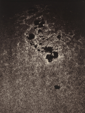 Untitled (Study of the Sun's Surface),1893 (photo)