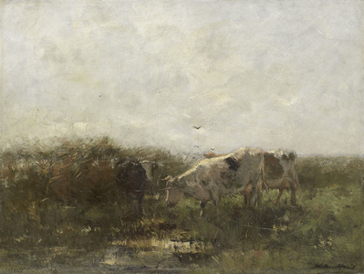 Cows in a Soggy Meadow, 1880 (oil on canvas)