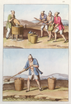 Chinese agriculture, 1825-1835. Top: Husking rice. One person puts grain into a husker while three men move the crank mechanism. Bottom: Man filling wooden pails with water from a stream. From Costume Antico et Moderno. (Rome 1825-1835).