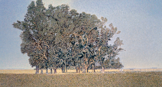 Orion (acrylic on canvas) 1990