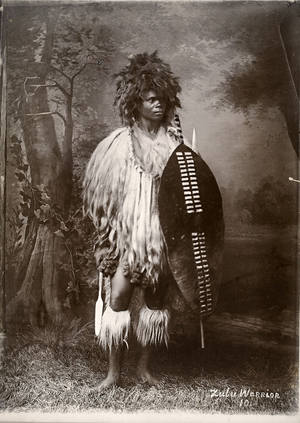 Zulu warrior (gelatin silver print)