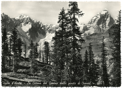 Aosta Valley, The Matterhorn Chain from the Cheneil Pine Woods (2100 m), c.1950 (postcard)