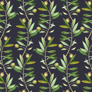 Olive branches, 2017, (watercolour and ink)