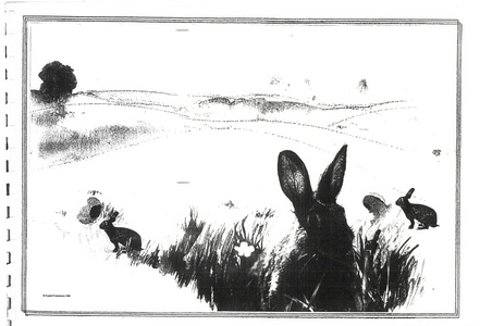 Teletubbies (print)