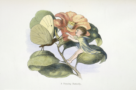 A dancing butterfly