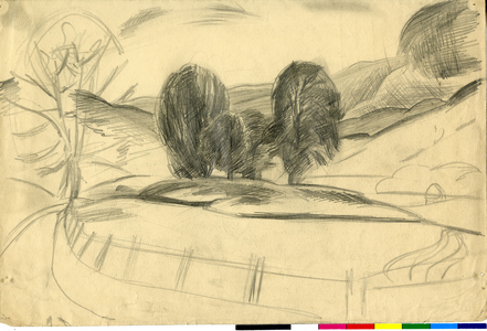 Dark Trees, A Study, c.1920-73 (pencil on paper)