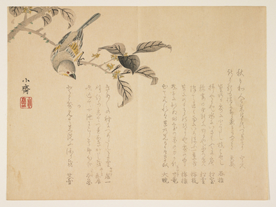 Bird on a branch (colour woodblock print)