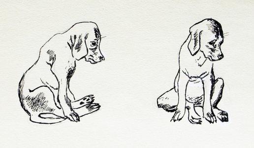 Puppy, 1968 (indian ink on paper)