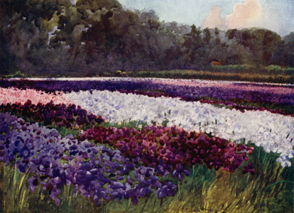 "In emerald tufts, flowers purple, blue, and white, like sapphire, pearl, and rich embroidery" (colour litho)