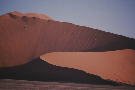 The Namib, the world's oldest and driest desert 2008 (photo)