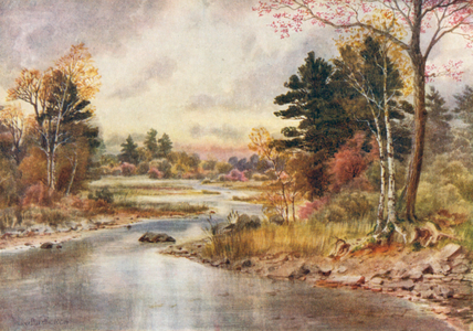 Autumn in New Brunswick (colour litho)