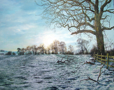 Light over the Spinney (oil)