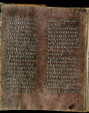 The purple Codex Rossanensis, 6th century (manuscript)