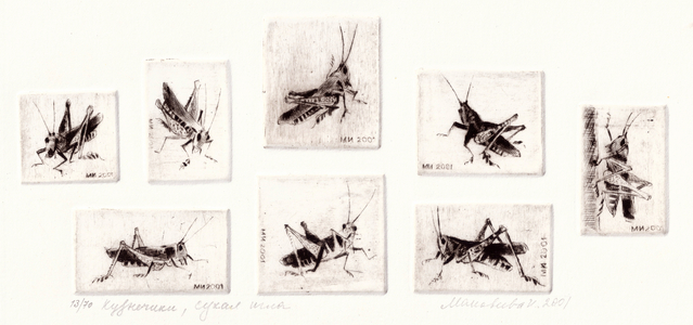 Grasshoppers, 2001 (drypoint)
