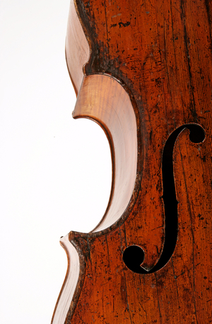 Double Bass detail,