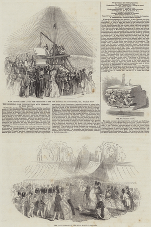 The Hospital for Consumption and Diseases of the Chest (engraving)