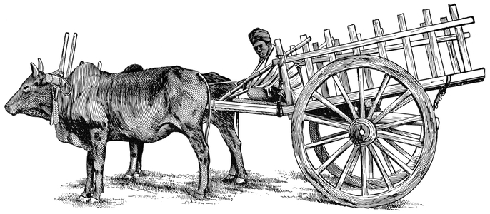 Burmese Ox-Cart, 'Classical Portfolio of Primitive Carriers', by Marshall M. Kirman, World Railway Publ. Co., Illustration, 1895