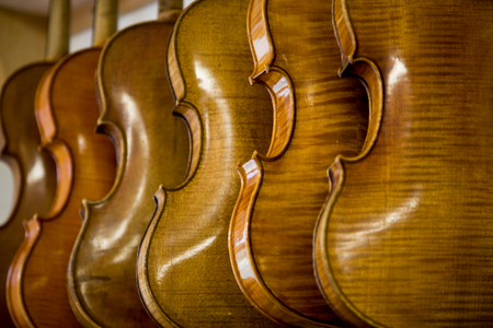 Violins in a row