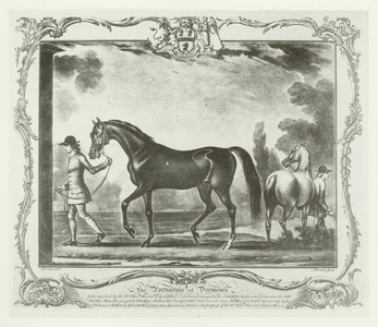 Dormouse, foaled 1738 (b/w photo)