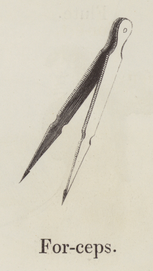 Forceps (engraving)