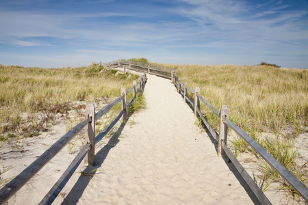 Dunes on Cape Cod National Sea Shore in Cape Cod, Boston, USA (photo)
