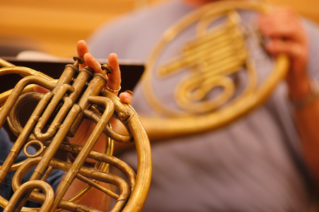 Two piston horns.