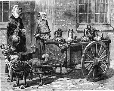 An engraving depicting a milk woman making her deliveries using a small cart pulled by dogs in Holland, 19th Century
