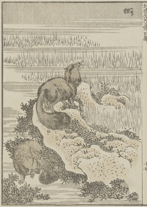 Badger, c. 1840 (woodblock print)