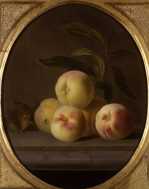 Still Life of Fruit with a Fly (oil on canvas)