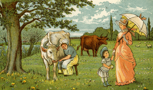Milking cow for chocolate and milk