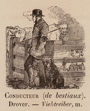 Le Vocabulaire Illustre: Conducteur (de bestiaux); Drover; Viehtreiber (engraving)
