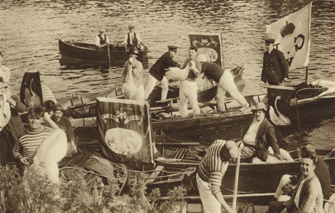 Ancient custom of two City guilds: swan upping on the Thames (b/w photo)