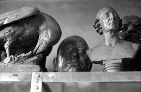 Kunstgiesserei Lauchhammer model chamber in the Kunstgiesserei Lauchhammer ..., 1994 (photo)