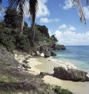 coast at Gosier, 1998 (photo)