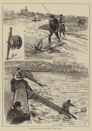 Thames Trout Fishing, Opening of the Season (engraving)
