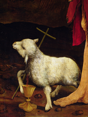 Detail of the Crucifixtion from Isenheim altarpiece (detail of a lamb), c.1512-16, (oil on panel)