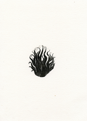 Fire, 2017, (wood engraving on paper)