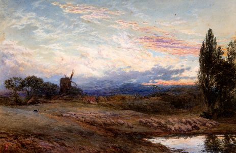 Sheep Watering at Sunset (watercolour)