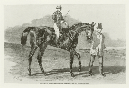 Sweetsauce, foaled 1857 (b/w photo)