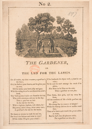 Two men gardening
