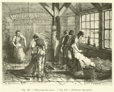 Ebourrage des peaux, Echarnage des peaux (engraving)