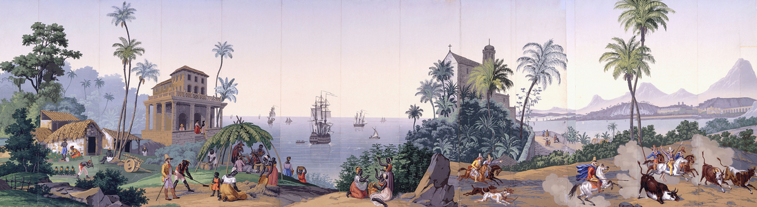 Vues de Bresil, c.1829-1835 (woodblock print in colours)