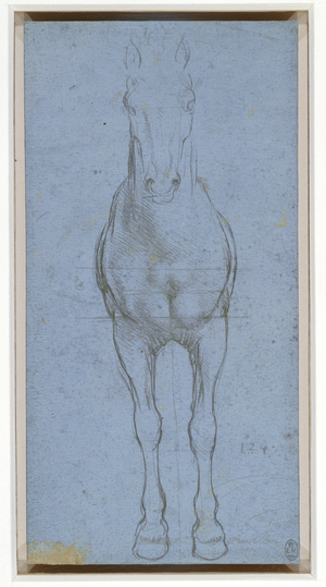 A horse divided by lines, c.1490 (metalpoint on pale blue prepared paper)